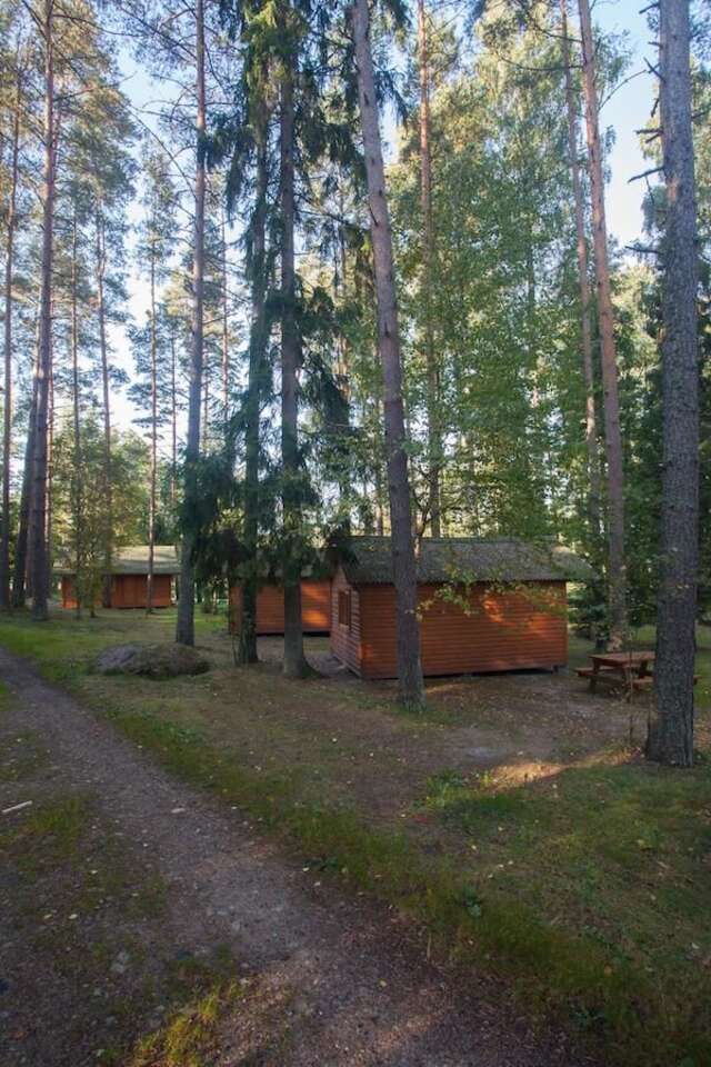 Комплексы для отдыха с коттеджами/бунгало Atpūtas komplekss Godeļi Усма-33